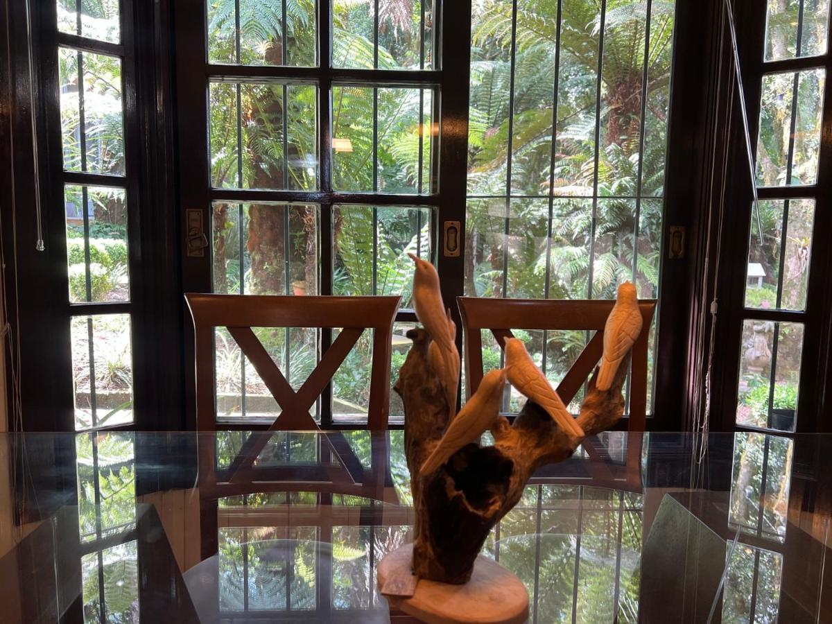 Lala Haus Gramado Villa Kültér fotó
